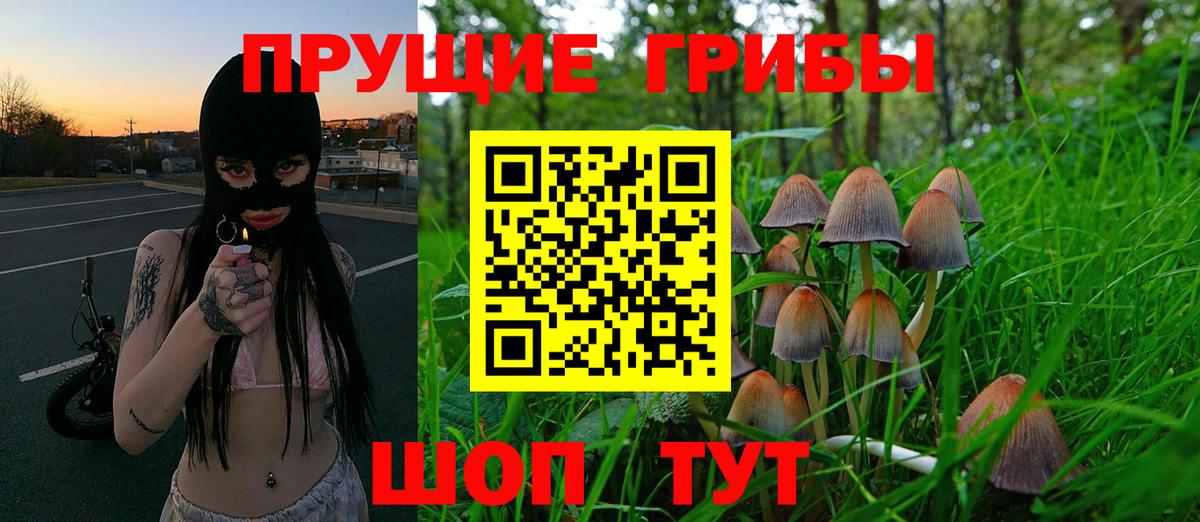 Галлюциногенные грибы мухоморы Унеча