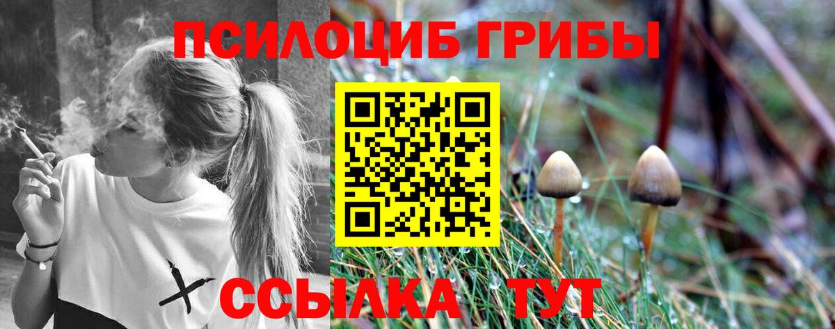 Галлюциногенные грибы мухоморы  Галлюциногенные грибы Cubensis  даркнет сайт  Унеча  Вход с VPN 